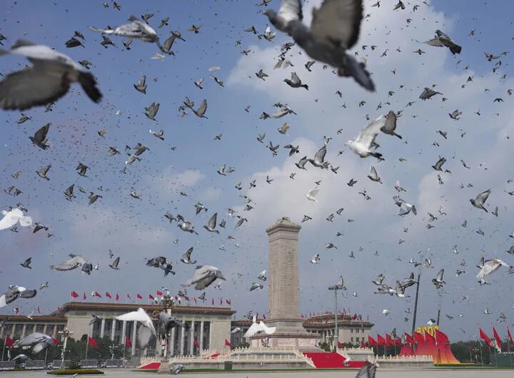 09093650ffjv.jpg 09093650ffjv.jpg